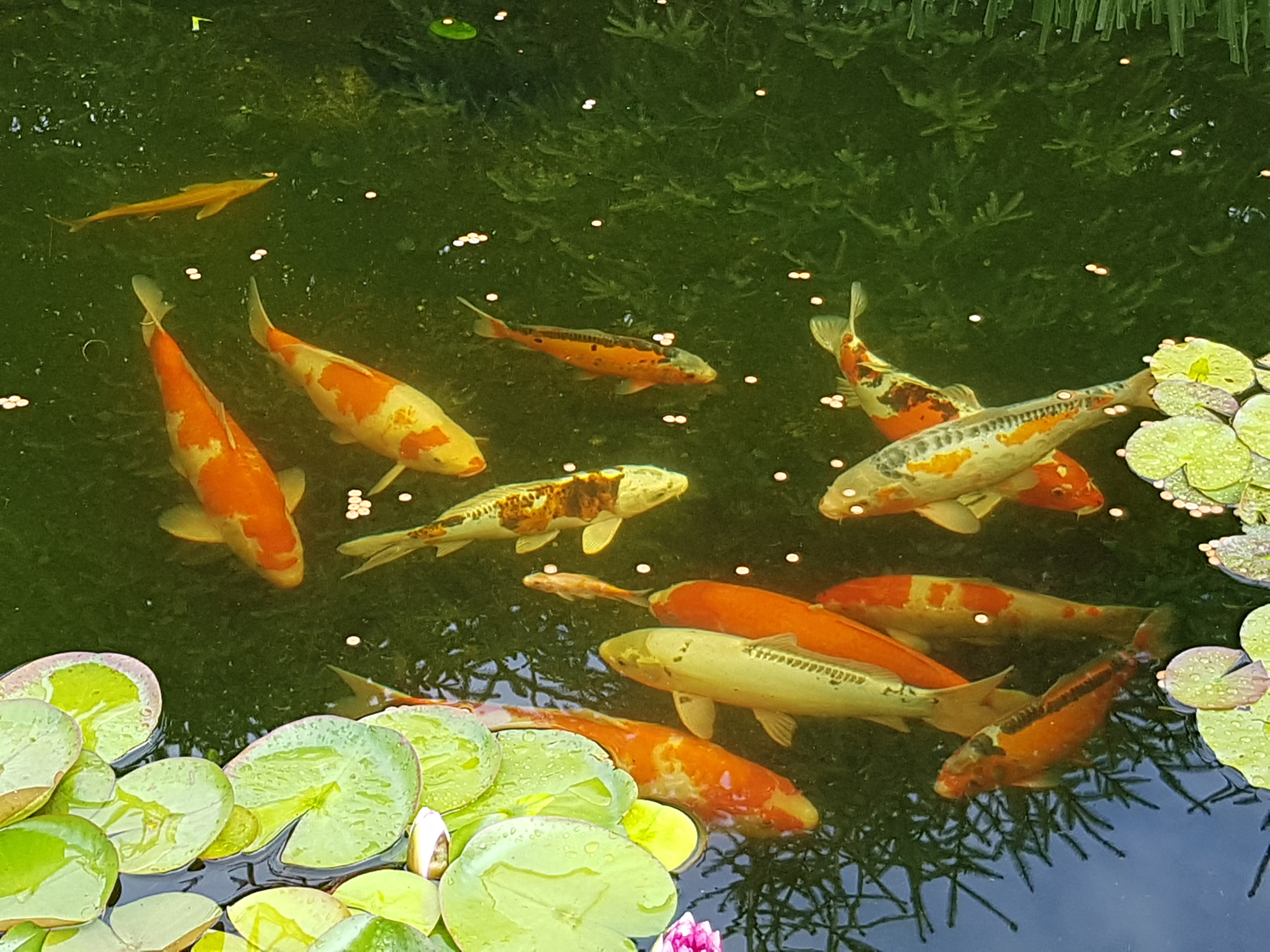 20190719_175015