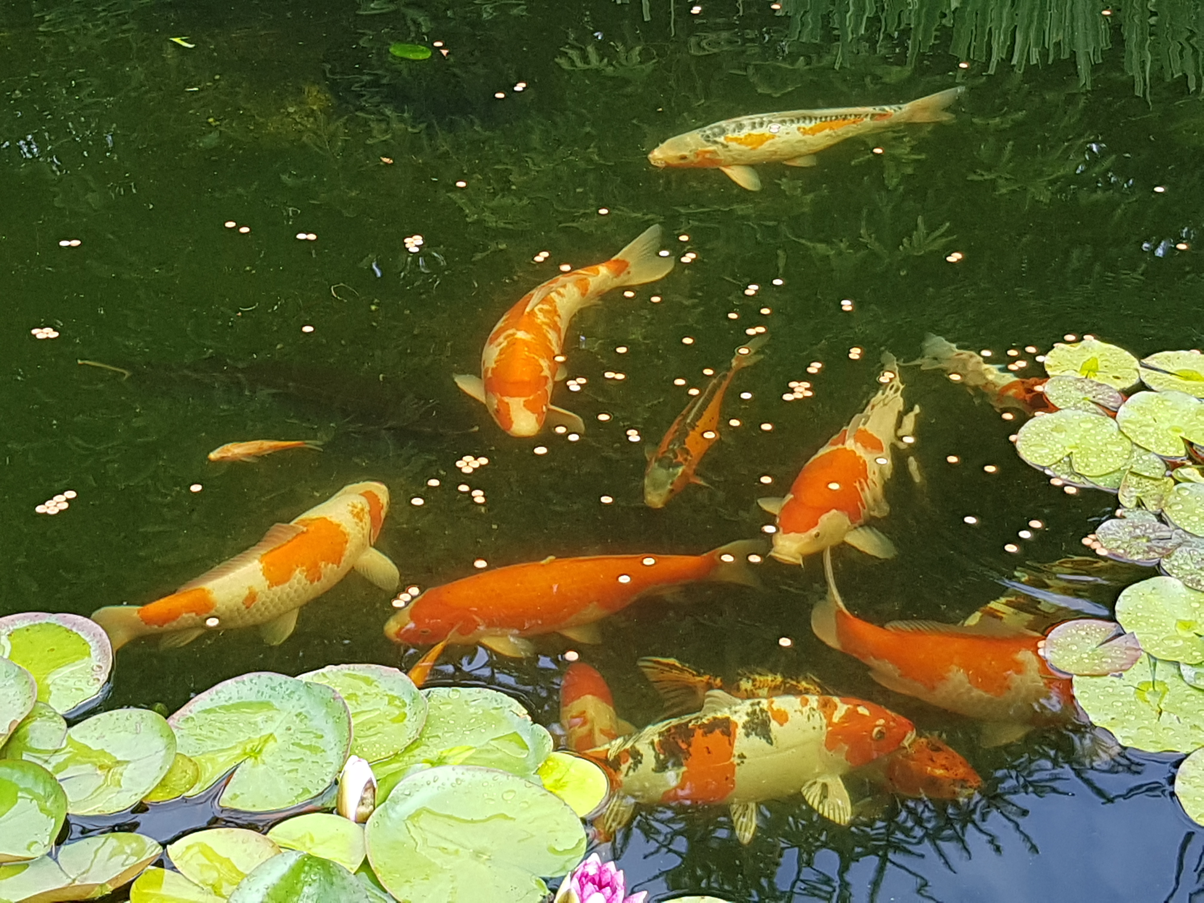 20190719_175036