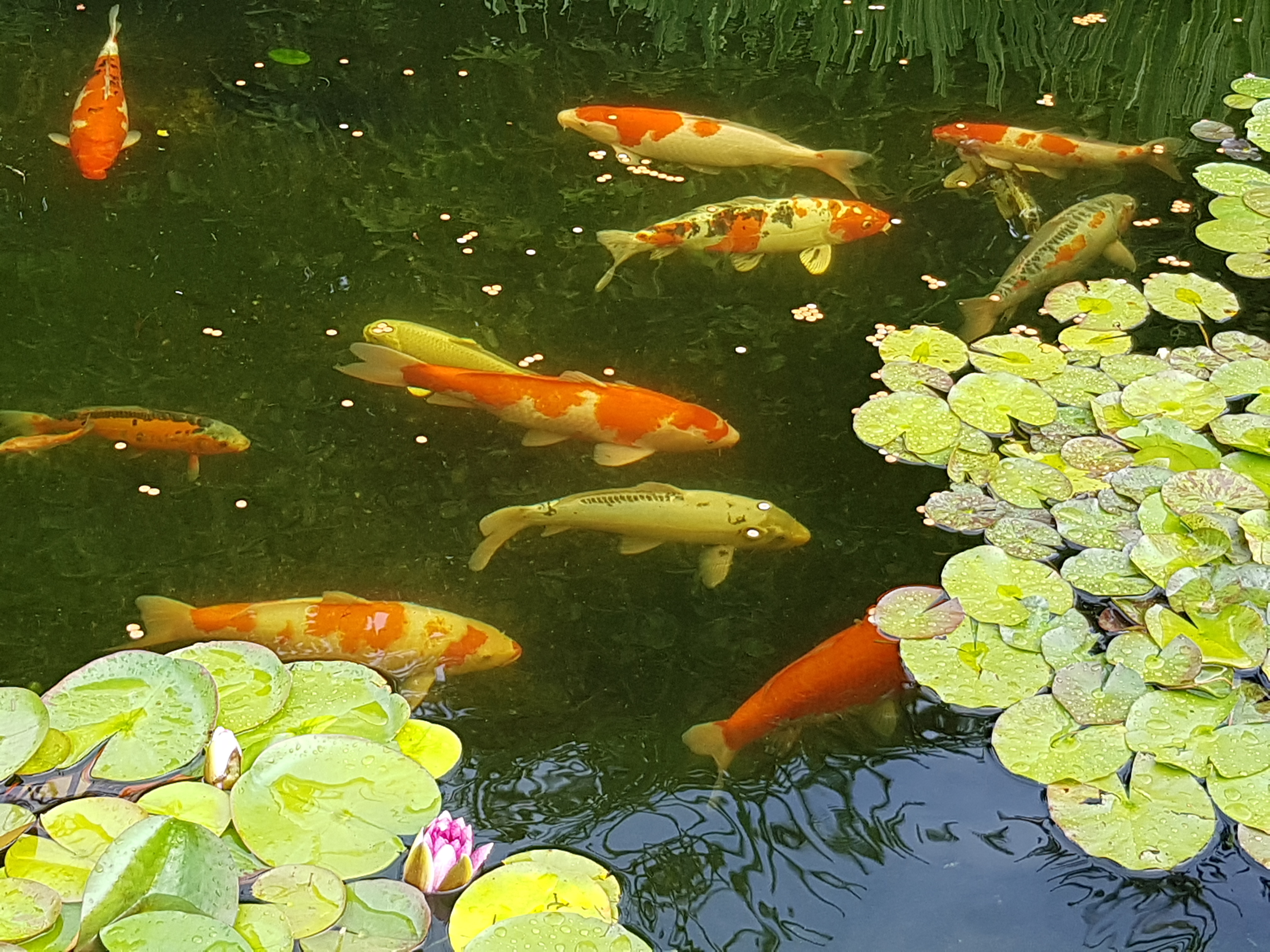 20190719_175228